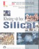 Giáo trình Khoáng vật học silicat: Phần 1