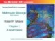 Lecture Molecular biology (Fifth Edition): Chapter 1 - Robert F. Weaver
