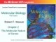 Lecture Molecular biology (Fifth Edition): Chapter 2 - Robert F. Weaver