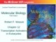 Lecture Molecular biology (Fifth Edition): Chapter 12 - Robert F. Weaver