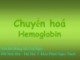 Bài giảng Chuyển hóa Hemoglobin - ThS.BS.Hoàng Thị Tuệ Ngọc