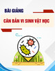 Bài giảng Căn bản vi sinh vật học: Bài 2 - Đặc điểm hình thái và cấu tạo tế bào vi sinh vật