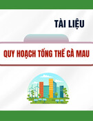 Tài liệu Quy hoạch tổng thể Cà Mau