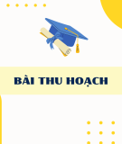 Bài thu hoạch Bồi dưỡng thường xuyên giáo viên THPT: Module 7 - Tham vấn, tư vấn hướng dẫn cho học sinh THPT