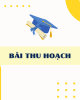Bài thu hoạch Bồi dưỡng thường xuyên giáo viên THPT: Module 7 - Tham vấn, tư vấn hướng dẫn cho học sinh THPT