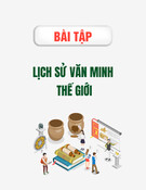 Bài tập Lịch sử văn minh thế giới