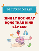 Đề cương ôn tập Sinh lý học hoạt động thần kinh cấp cao