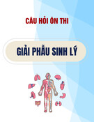 Câu hỏi ôn thi môn Giải phẫu sinh lý