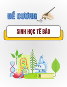 Đề cương ôn tập Sinh học tế bào