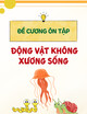Đề cương ôn tập Động vật không xương sống có lời giải