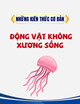 Tài liệu Những kiến thức cơ bản Động vật không xương sống